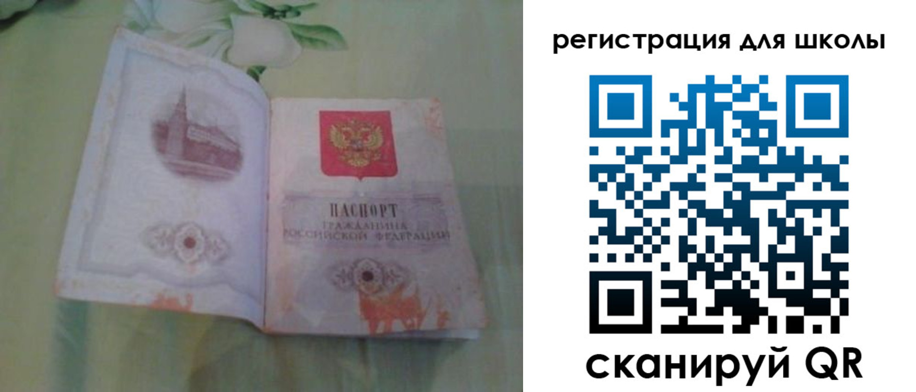 временная регистрация поиск в Мончегорске